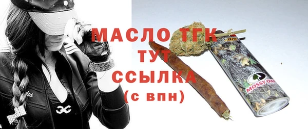 гашик Бородино