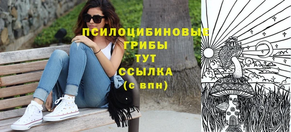 ПСИЛОЦИБИНОВЫЕ ГРИБЫ Богданович