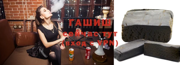 ПСИЛОЦИБИНОВЫЕ ГРИБЫ Богданович