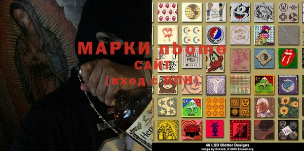 гашик Бородино